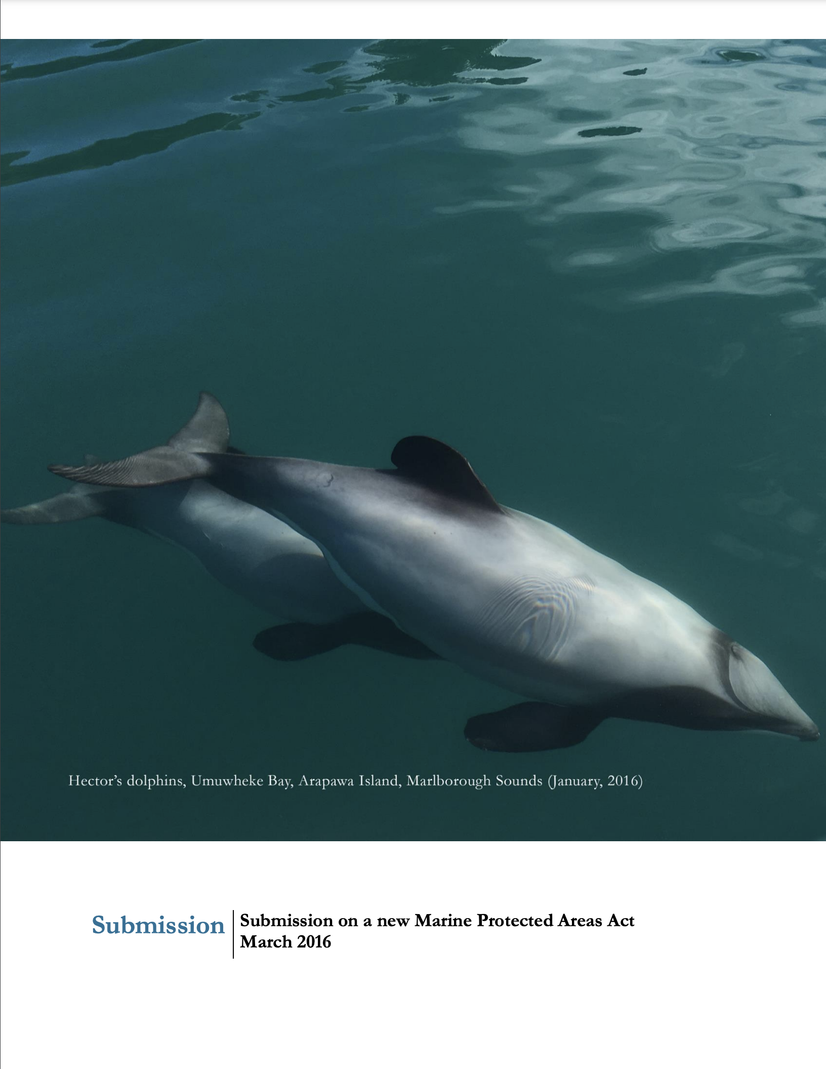 Submission 2016/01 – A new Marine Protected Areas Act